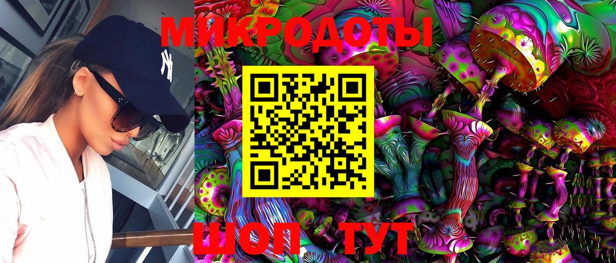 Псилоцибиновые грибы Psilocybine cubensis Братск